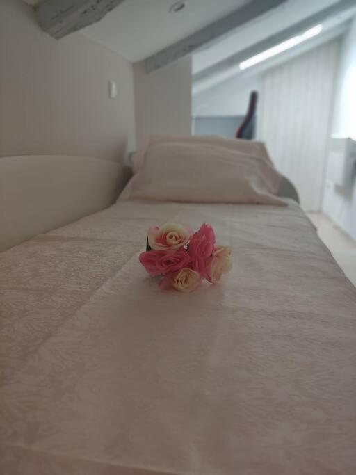 Bird View Apartment Carlissima 特罗吉尔 外观 照片