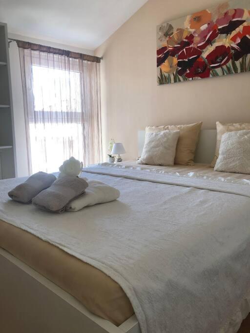 Bird View Apartment Carlissima 特罗吉尔 外观 照片