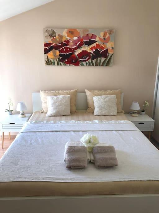 Bird View Apartment Carlissima 特罗吉尔 外观 照片