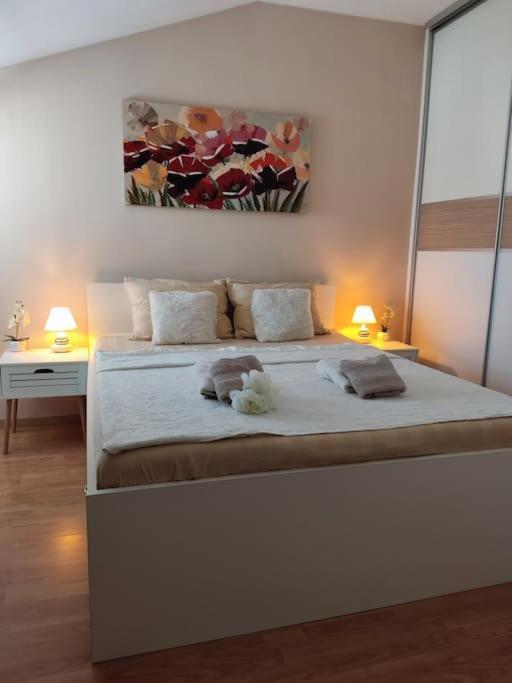 Bird View Apartment Carlissima 特罗吉尔 外观 照片
