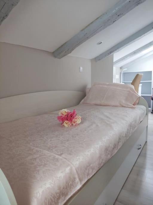 Bird View Apartment Carlissima 特罗吉尔 外观 照片