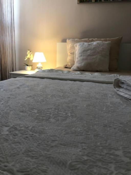 Bird View Apartment Carlissima 特罗吉尔 外观 照片
